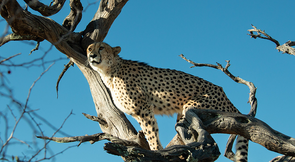 Naankuse Wildlife Sanctuary