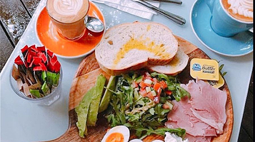 乔治布朗达尔文植物园