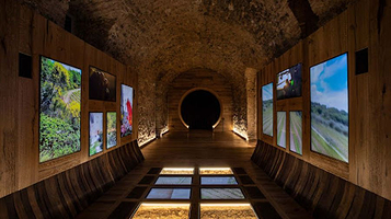 Tempio del Brunello - Interactive Museum