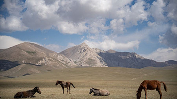 Rima Yurt Camp (Kyrgyzstan Song Kol Lake)