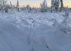 克里默斯国家迁徙水鸟保护区