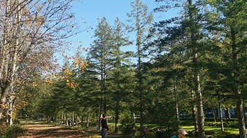 Weaver Creek Spawning Channel