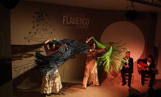 Centro Cultural Flamenco de Madrid