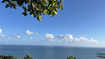 くるくまキャンプサイト