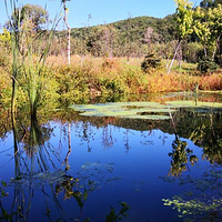 寒葱顶国家森林公园