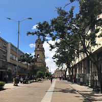 波哥大第七大道