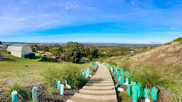 1000+ Steps and lookout