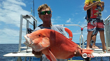 Airlie Beach Fishing Charters