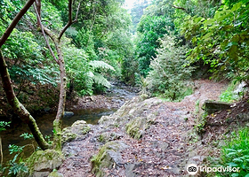 惠灵顿城市步道