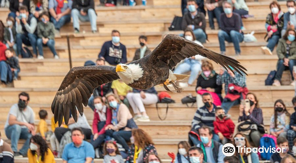 Puy du Fou España