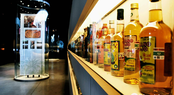 龙舌兰酒博物馆