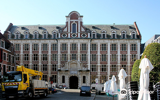 荷语天主教鲁汶大学