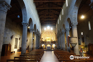 菲耶索莱圣罗穆鲁斯主教座堂