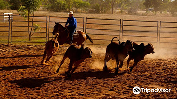Katherine Outback Experience