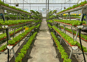 国华科艺农场私人有限公司