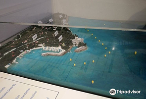 Biodiversitario Marino - Museo immersivo dell'Area Marina Protetta di Miramare