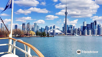 City Cruises Toronto