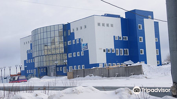 Swimming Pool Delfin