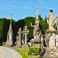 格拉斯奈文墓地