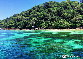 巴雅岛海洋公园