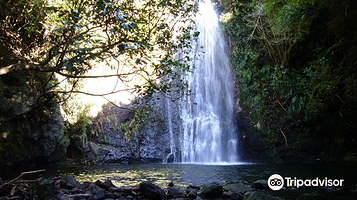 普哈图企鹅栖息地