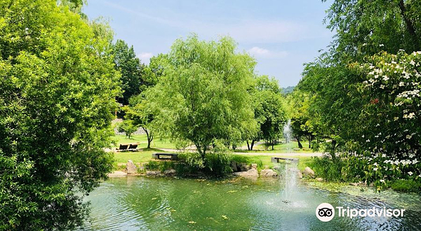 Juknokwon (Bamboo Forest)