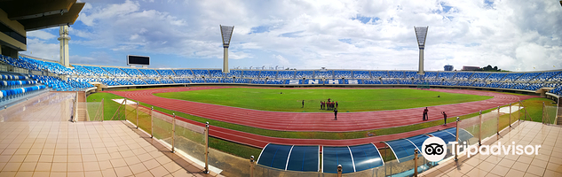 哈桑纳尔博尔基亚国家体育场