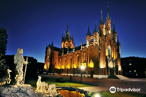 圣母无原罪主教座堂