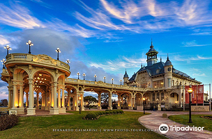 Museo de Arte de Tigre