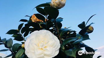 台大凤凰自然教育园区