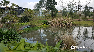 胜洋水草休闲农场
