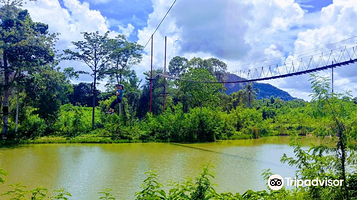 Tarzan Adventure Pattaya