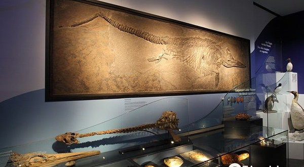 国立自然历史博物馆