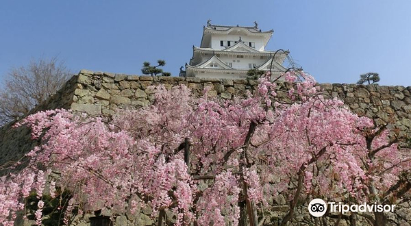 姬路城 御菊井户