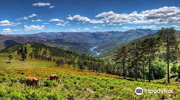 佩内达-格雷斯国家公园