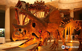 洛杉矶自然历史博物馆