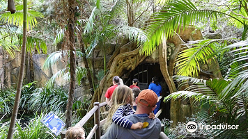 天宝林国家公园萤火虫洞