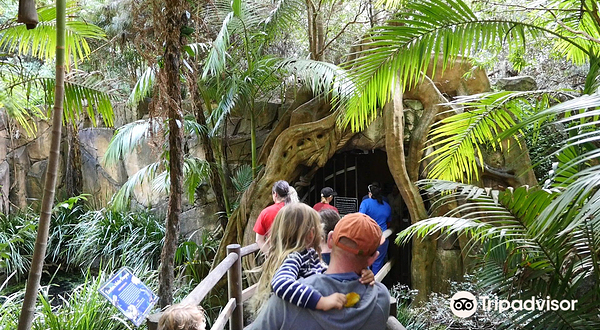 天宝林国家公园萤火虫洞