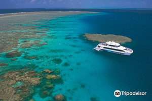 Silversonic Dive & Snorkel