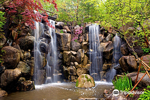 Anderson Japanese Gardens