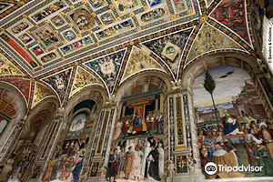 皮科罗米尼家族图书馆