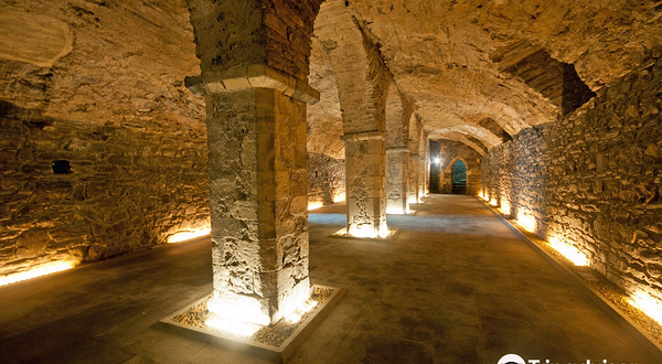 Waterford Treasures: Medieval Museum (Treasures of Medieval Waterford)