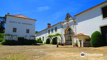 Quinta do Sanguinhal