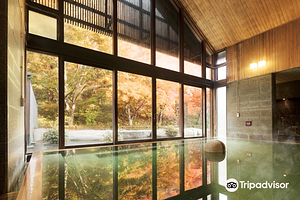 星野温泉 蜻蜓之汤