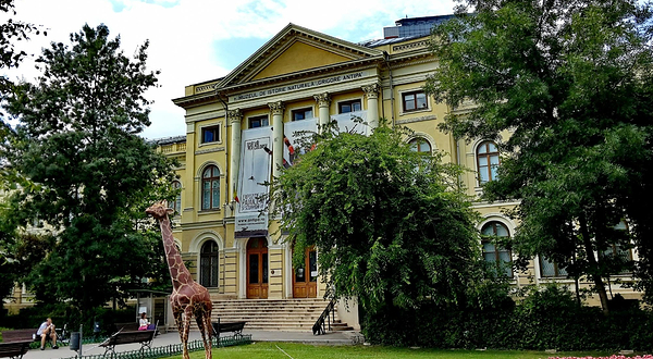 Grigore Antipa National Museum of Natural History