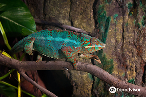 萨拉戈萨水族馆
