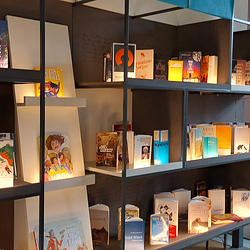 爱尔兰文学博物馆