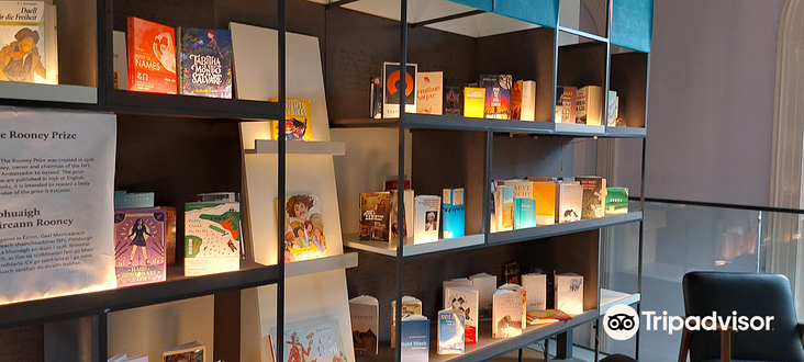 爱尔兰文学博物馆