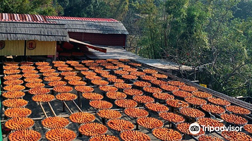 味卫佳柿饼观光农场