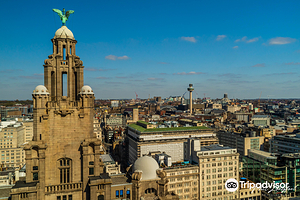 Royal Liver Building 360 Tour